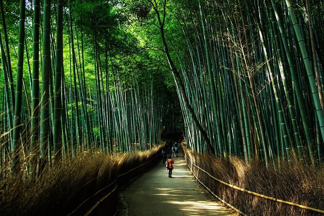 Customized Private Kyoto Tour by a local tour guide - Why this customized private Kyoto tour feels easier than DIY