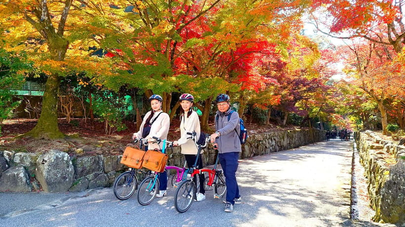 Cycling Tour at Uji's Matcha Green Tea Fields and Heritage - Key points before you pedal