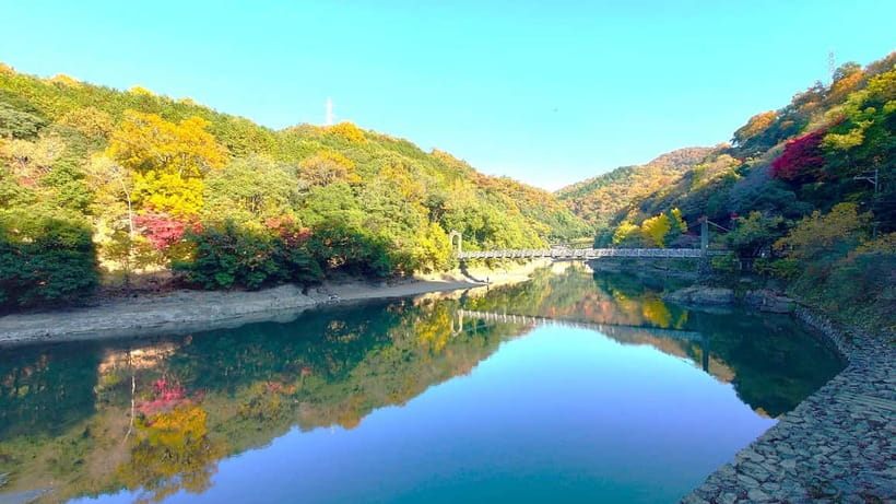 Cycling Tour at Uji's Matcha Green Tea Fields and Heritage - How the ride stays easy, even when you slow down