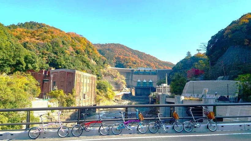 Cycling Tour at Uji's Matcha Green Tea Fields and Heritage - Uji River cycling and Tō-no-shima Island photos