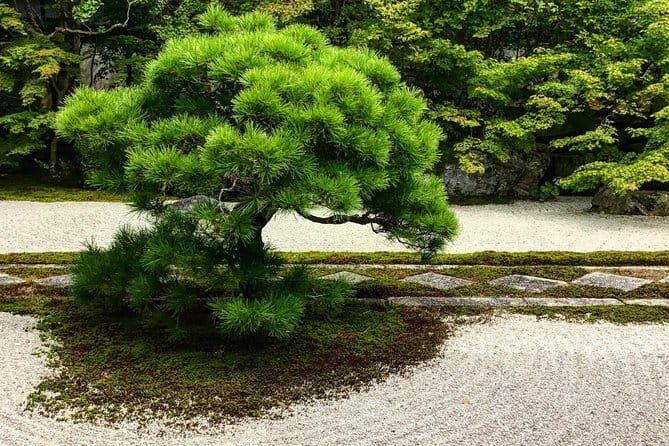 Discover Kyoto by Bike: Authentic Half Day Tour - Philosopher’s Path: scenic walking time that feels earned