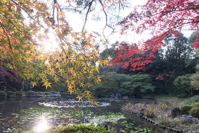 E-Bike Tours of the highlights of Kyoto!!! - Why Kyoto Feels Easier When You Ride With a Guide