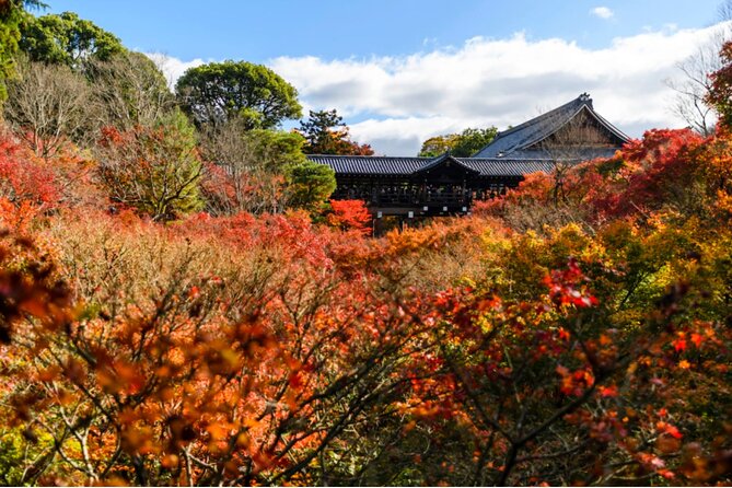 Early Bird E-biking through East Kyoto - Heian Shrine courtyard stroll and the calmer Kyoto edge