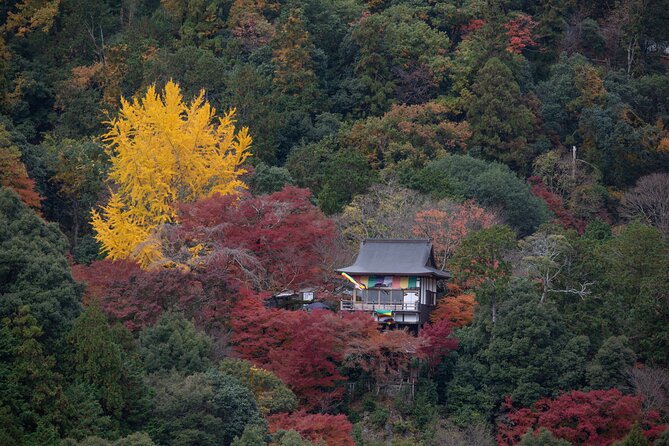 Explore Arashiyama Bamboo Forest with Authentic Zen Experience - Key Highlights You Should Expect