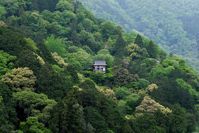 Explore Arashiyama Bamboo Forest with Authentic Zen Experience - Senko-ji Temple and Daihikaku Senkoji: The Monk-Led Zen Experience