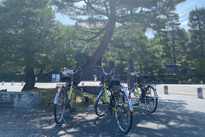 Explore Hidden Kyoto by E-Bike: Private, Scenic & Fun - Kamogawa stepping stones to Shimogamo’s forest quiet