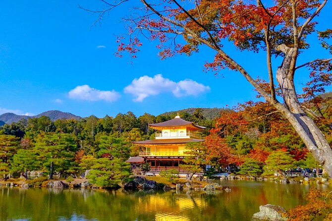 Explore Kyoto | Private Tour - Local English Driver(guide option) - Stop 4: Fushimi Inari-taisha, torii gates and crowd strategy