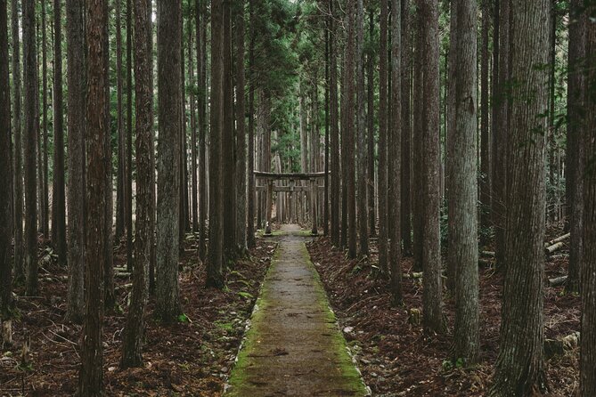 From Bamboo to Hidden Shrines: Kyoto’s Private Escape Tour by Car - Key highlights worth knowing