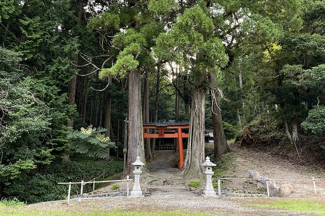 From Bamboo to Hidden Shrines: Kyoto’s Private Escape Tour by Car - The guide factor, with Katsu setting the tone