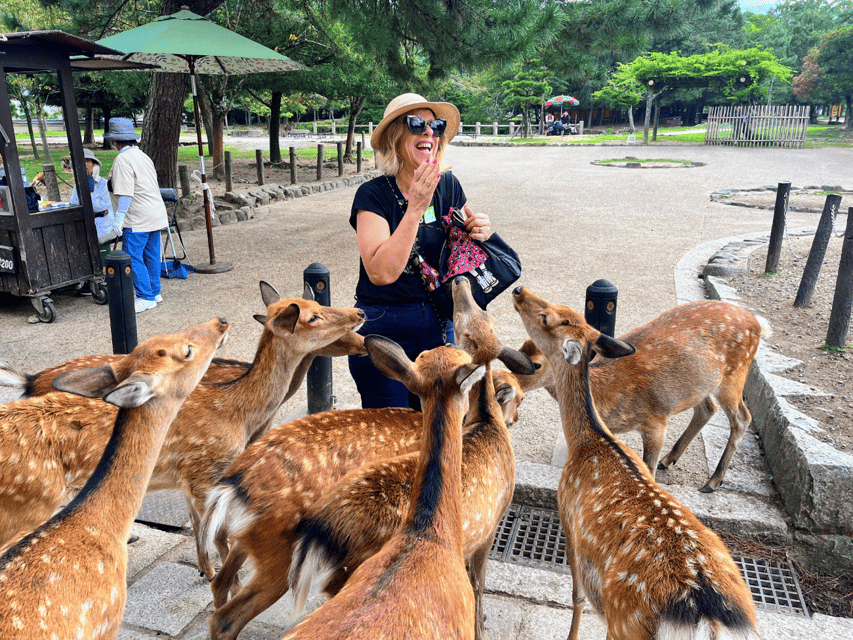 From Kyoto: Nara Guided Morning Tour - A Smooth Kyoto Start, Then a Coach Ride With Wi-Fi