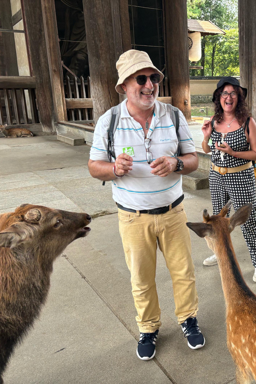 From Kyoto: Nara Guided Morning Tour - Nara Park Deer Time: Feeding Rules and Real-World Etiquette