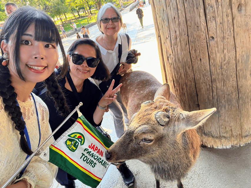 From Kyoto: Nara Guided Morning Tour - The Guide Factor: When Names Come Up, It Usually Means Care