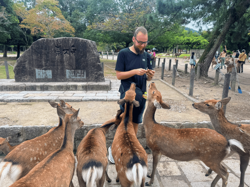 From Kyoto: Nara Guided Morning Tour - What to Bring for Comfort in Temple Country
