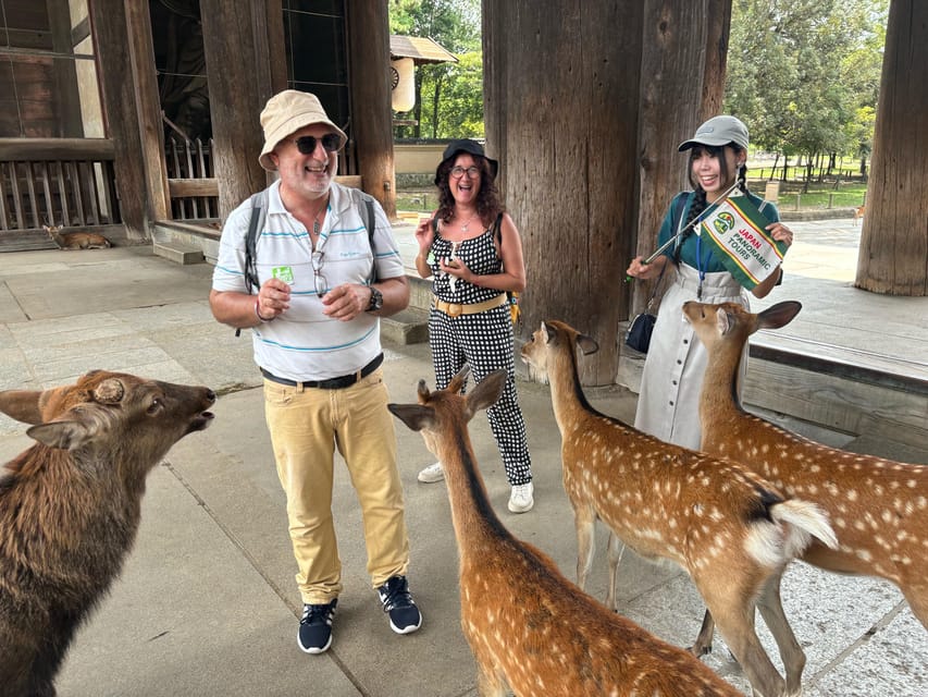 From Kyoto: Nara Guided Morning Tour - Kasuga Taisha Shrine, Lantern Roads, and That Calm Morning Feel