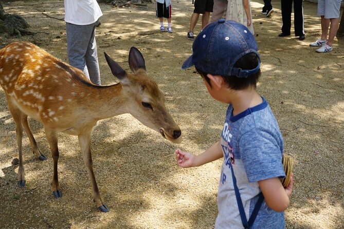 From Kyoto: Nara History Guided Half Day Bus Tour with Lunch - The short walk that connects the story