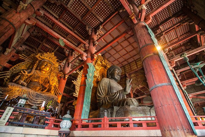 From Kyoto: Nara History Guided Half Day Bus Tour with Lunch - Kasuga Taisha Shrine in guided time, not just photos