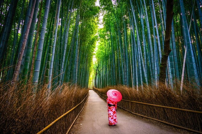 From Kyoto / Osaka: Kyoto Must-see Spots & Nara Park One Day Tour - Why This Kyoto and Nara One-Day Route Makes Sense