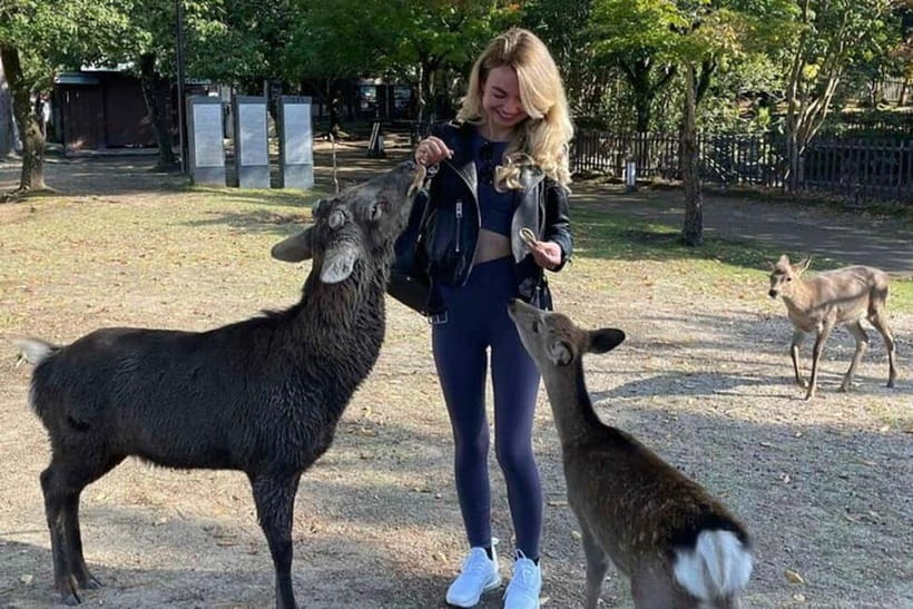 From Kyoto/Osaka: Nara Private Tour with Guide and Vehicle - Key takeaways before you go