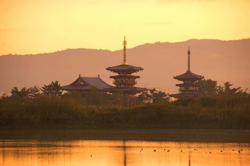 From Kyoto/Osaka: Nara Private Tour with Guide and Vehicle - Nara Park and the sacred deer, what the guide actually adds