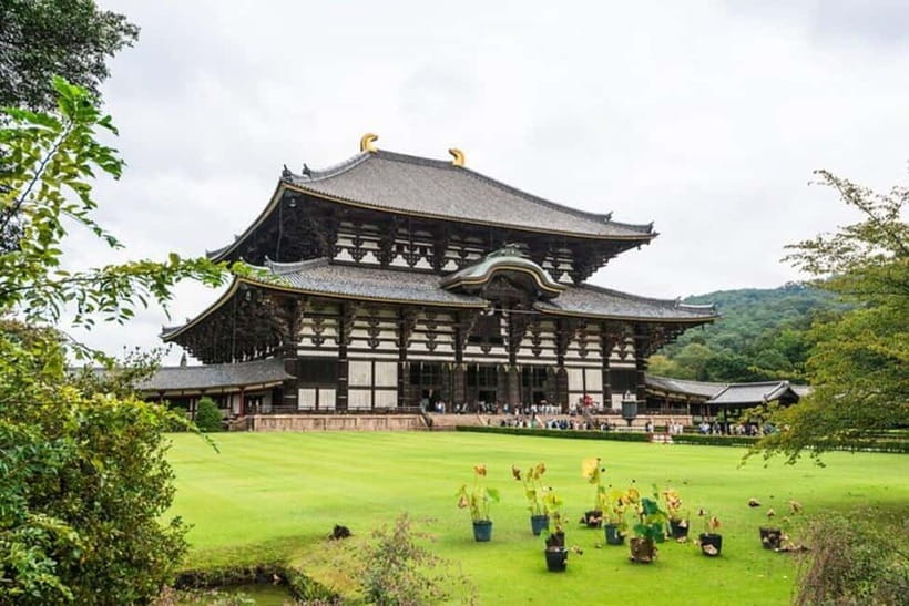 From Kyoto/Osaka: Nara Private Tour with Guide and Vehicle - Temple and shrine stops: how to get more meaning per hour