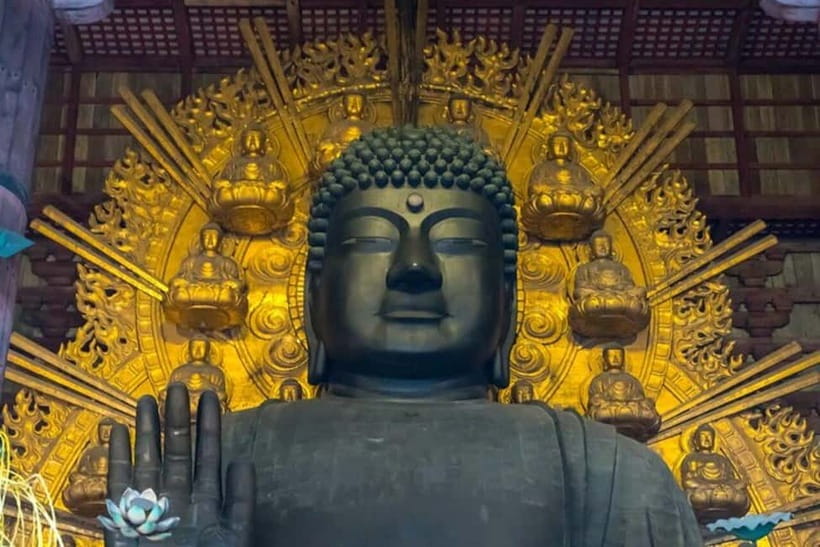 From Kyoto/Osaka: Nara Private Tour with Guide and Vehicle - Price and value: what $445 per person buys, and what it does not