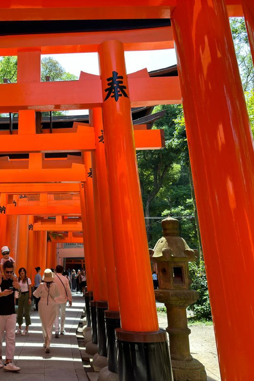 From Osaka/Kyoto: Kyoto, Nara, and Fushimi Inari Day Trip - Nara Park with friendly deer: why this stop feels memorable