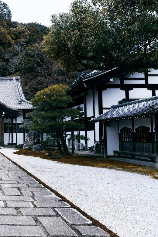 From Osaka/Kyoto: Private Kyoto and Nara Day Trip - The Nara Park Deer Encounter: Sacred, Not Cute