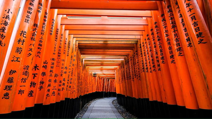 From Osaka/Kyoto: Private Kyoto and Nara Day Trip - Kyoto Break Time, Photos, and Shopping