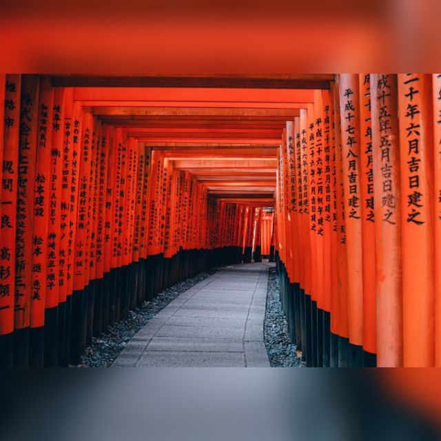 From Osaka/Kyoto: Private Kyoto & Nara Day Trip with Pickup - How this Osaka to Kyoto and Nara private day trip really works