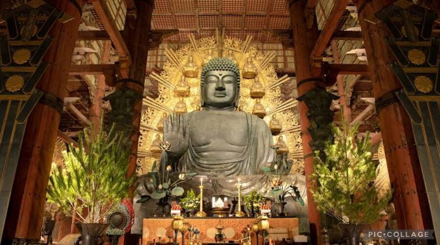From Osaka/Kyoto: Private Kyoto & Nara Day Trip with Pickup - Arashiyama Bamboo Forest, Kimono Forest photo stop, and the river bridge walk
