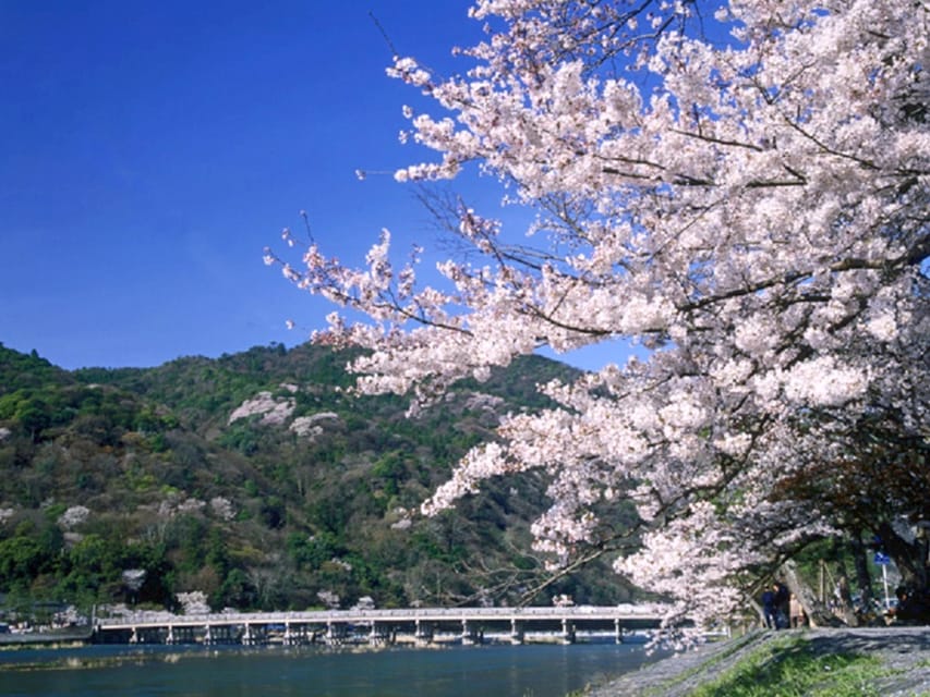 From Osaka: Sagano Train Ride and Kyoto Guided Day Tour - Key things I’d circle before you go