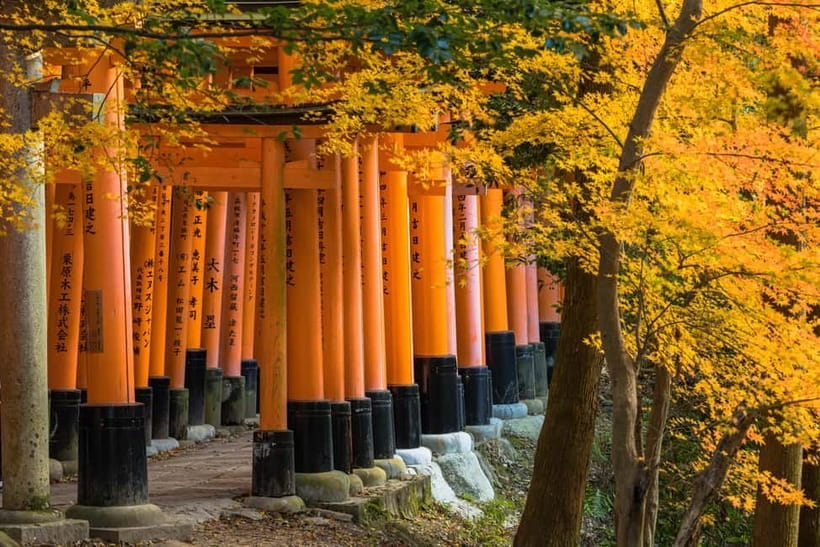 From Osaka: Sagano Train Ride and Kyoto Guided Day Tour - The Sagano Romantic Train between Arashiyama and Kameoka