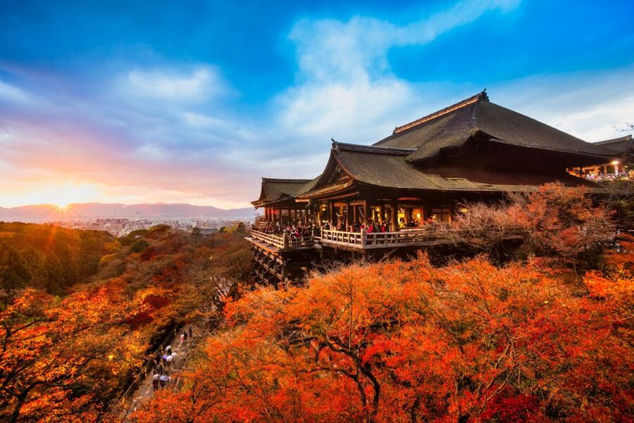 From Osaka: Sagano Train Ride and Kyoto Guided Day Tour - Price and value: is $66 a smart buy from Osaka?