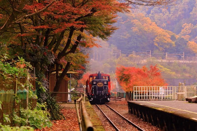From Osaka: Sagano Train Ride and Kyoto Guided Day Tour - Arashiyama Bamboo Forest, Katsura River walks, and Togetsukyo moments