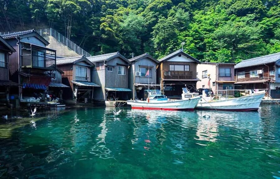 FromOsaka/Kyoto:Hiroshima & Miyajima Private Tour with Lunch - Key Points You Should Know Before You Go
