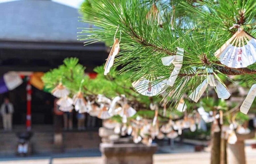 FromOsaka/Kyoto:Hiroshima & Miyajima Private Tour with Lunch - What You’re Really Paying For at $784 Per Group