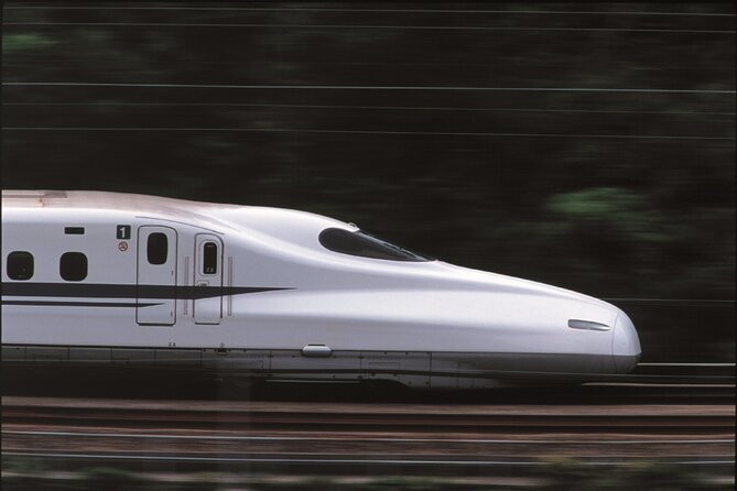 Full Day Hiroshima and Miyajima Bus Tour - Price and inclusions: is $111.05 good value?
