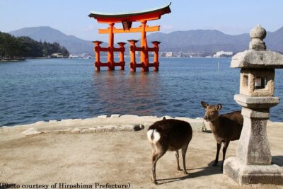Full Day Hiroshima and Miyajima Tour by Bullet Train from Kyoto