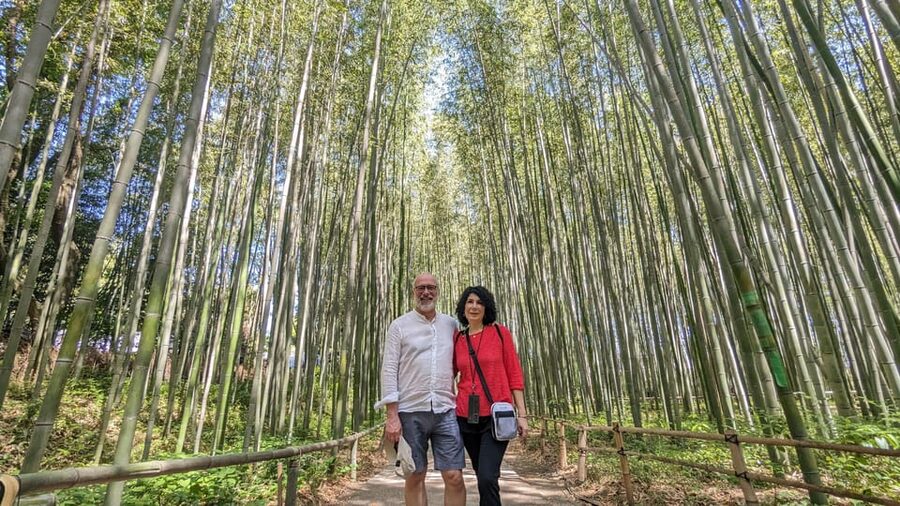 Full-Day Kyoto Walking Tour: Most Iconic Landmarks & Monkeys - Key highlights to look forward to