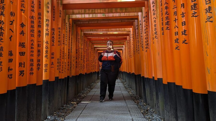 Full-Day Kyoto Walking Tour: Most Iconic Landmarks & Monkeys - Price, ticket value, and what you still pay for yourself