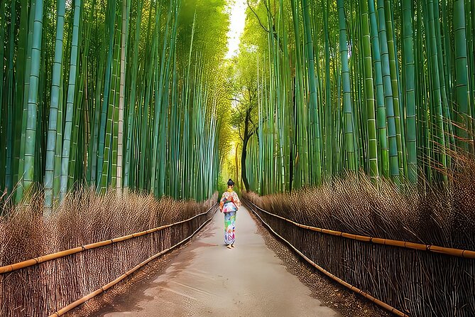 Fushimi Inari - Arashiyama: Torii Gates, Bamboo, Monkeys & Secret - Iwatayama Monkey Park, the payoff after the climb