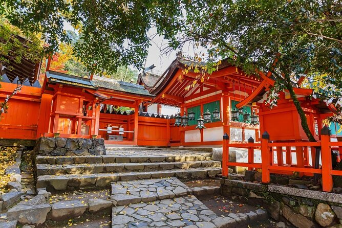 Fushimi Inari & Nara Highlights Walking Tour - Key Things I’d Watch For Before You Book