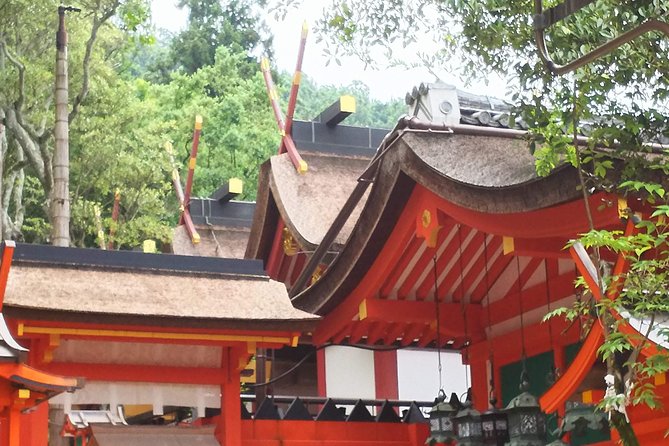 Fushimi Inari & Nara Highlights Walking Tour - Why the Private Guide Matters at Fushimi Inari