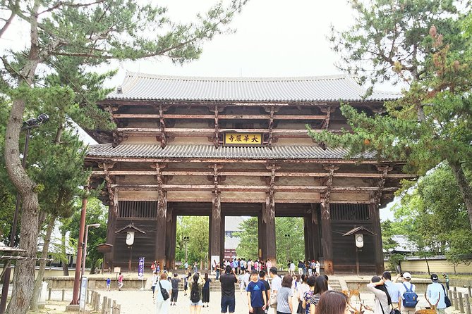 Fushimi Inari & Nara Highlights Walking Tour - Stop 2: Todaiji Keidaicho, Where Scale Hits You in the Corridor