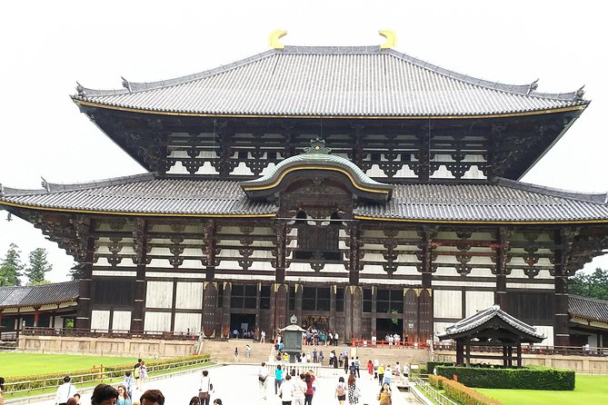 Fushimi Inari & Nara Highlights Walking Tour - Price and What You Actually Pay for (Guide Fare vs. On-the-Ground Costs)
