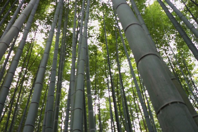 【Fushimi inari shrine】A local born in Kyoto shares the secret path away tourists - How the 2.5-Hour Walk Feels, and How to Prepare