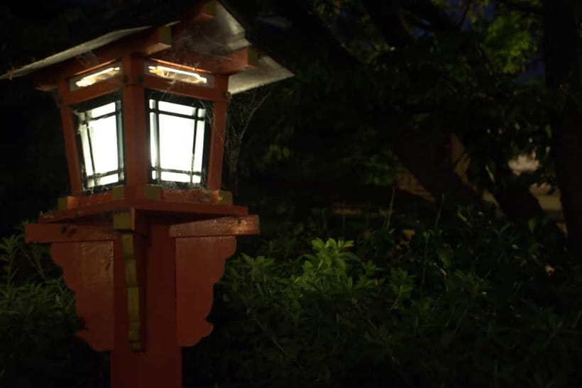 Gion Night Walk:Discover Geisha Culture in Kyoto - Who Should Book This Gion Night Walk?