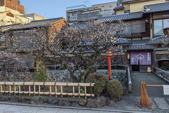 Gion Nocturno: Secretos y Leyendas de las Geishas - Precio y valor: por qué $21.80 puede rendir bien