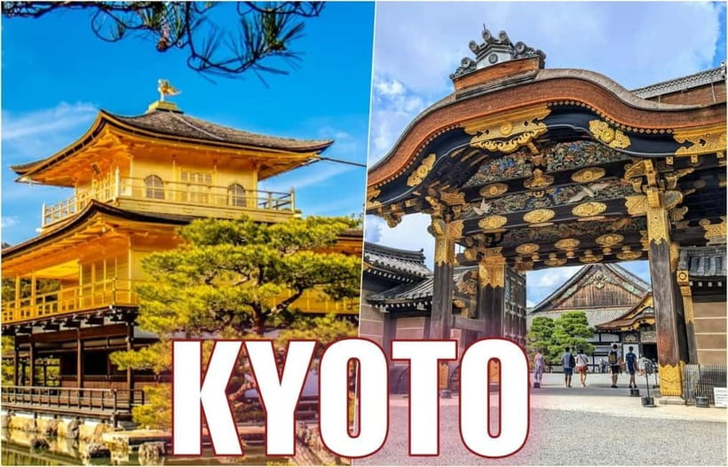 Golden Pavilion, Nijo Castle, & Nishiki Market Half day tour - Meeting Point, Timing, and Getting Oriented Fast