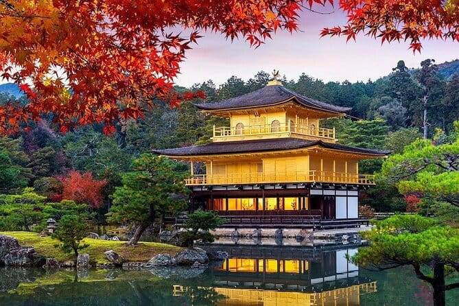 Guided Kyoto City Cherry Blossom One Day Private Tour - Key highlights worth the hype